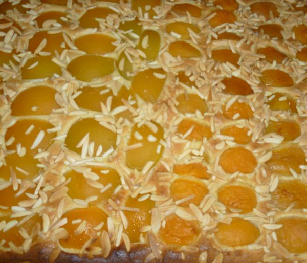 Aprikosen-Kuchen mit Olivenöl